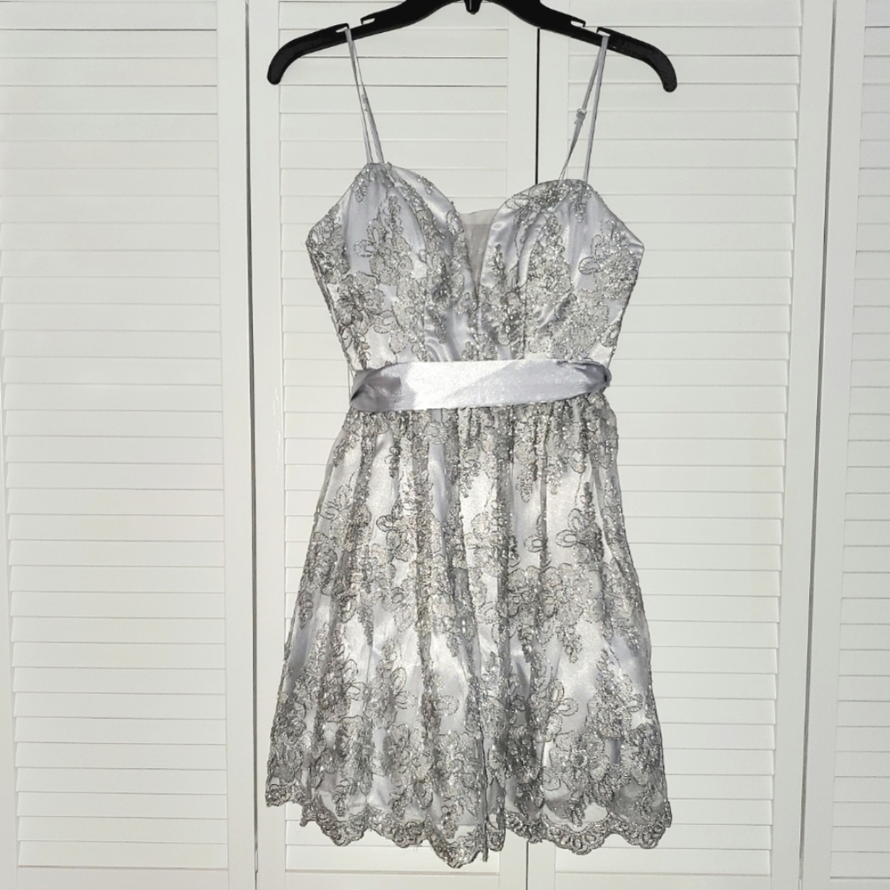 TLC Silver and Grey Dress With Embroidery